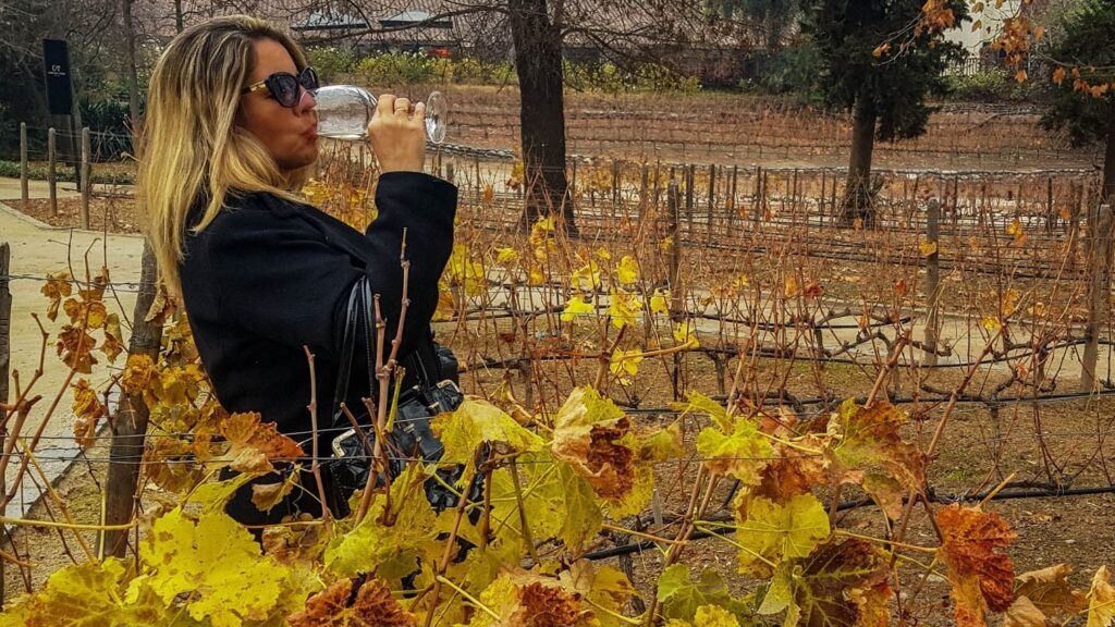concha y toro, santiago
